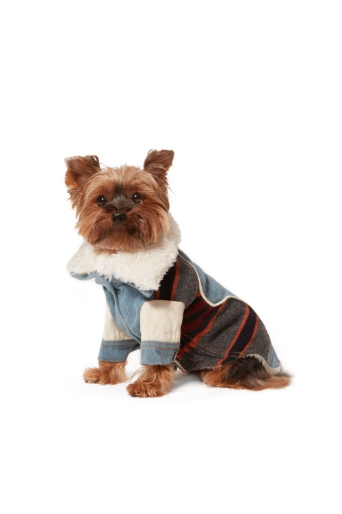 Pet-Ed Diesel Light Blue