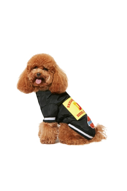 Black Pet-Chwork Diesel