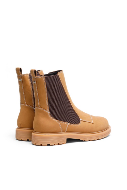 D-Alabhama Ch Diesel Light Brown