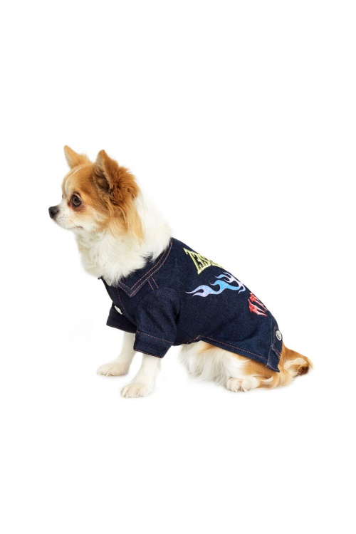 Pet-Flames Diesel Dark Blue