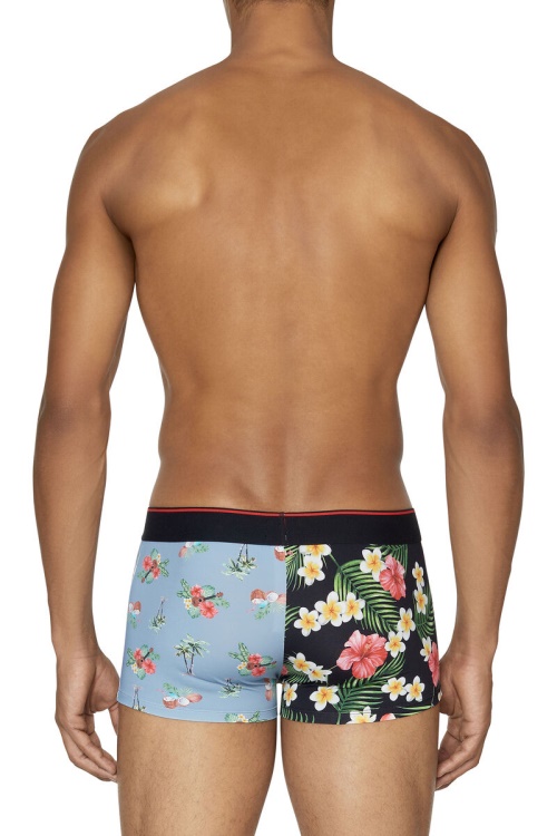 55-Dshawn Diesel Blue