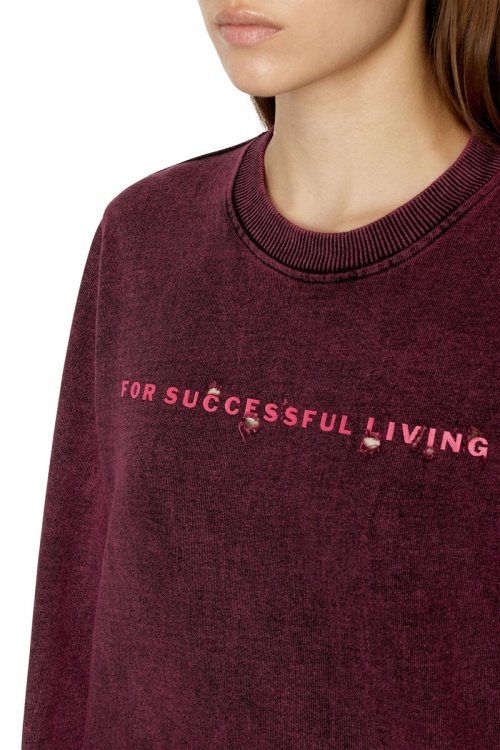 Red F-Reggy-E1 Diesel