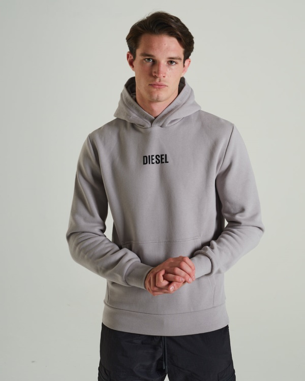 Diesel Lupin Hoodie Fossil Stone Light Grey