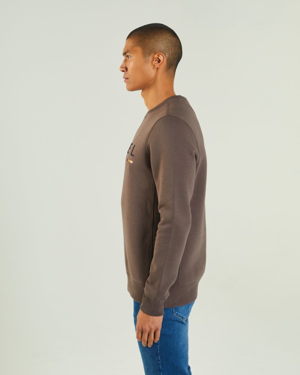 Grey Fredrick Sweatshirt Silt Stone Diesel