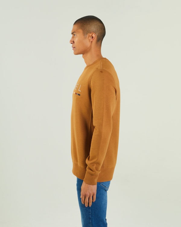 Fredrick Sweatshirt Maple Leaf Diesel Brown