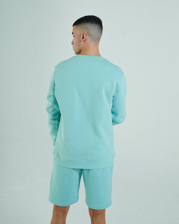 Diesel Shawn Sweatshirt Mint Ice Cream Green