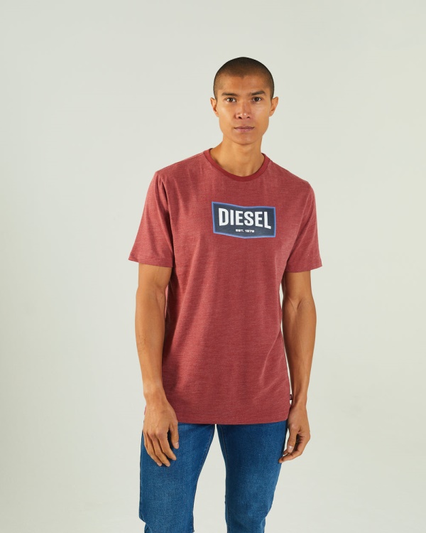 Diesel Matisse Tee Red Oxide