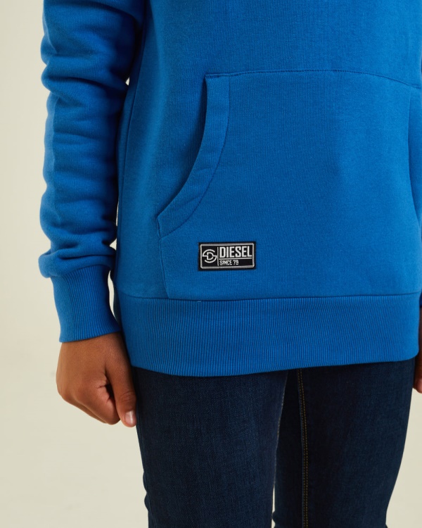 Diesel Albert Hood Royal Blue Red