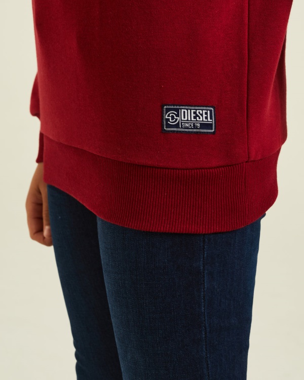 Barney Sweater Red/Navy Diesel Blue