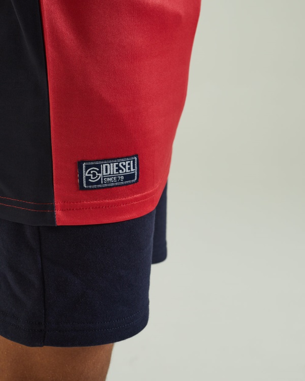 Diesel Ceaser Tee Red Grey