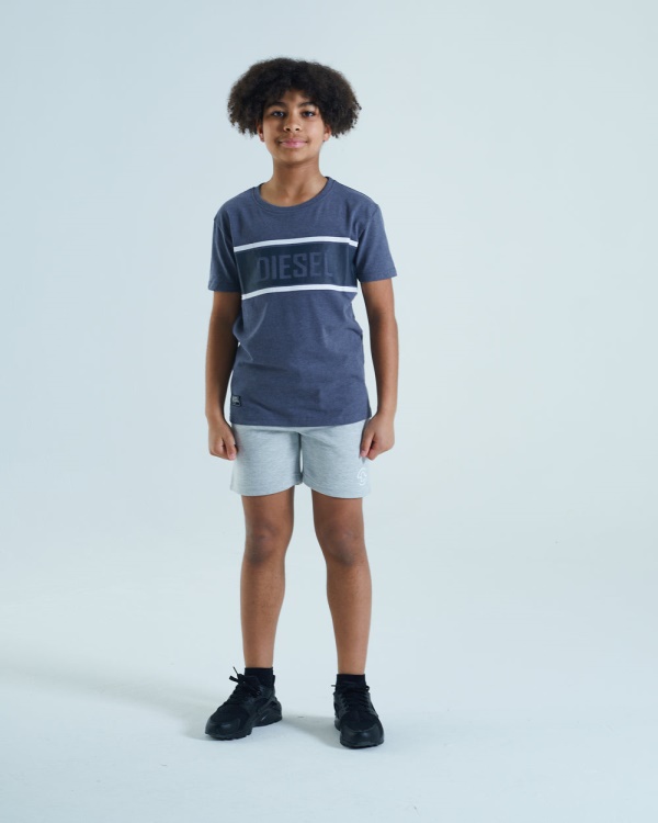 Diesel Doyle Tee Denim Melange Blue