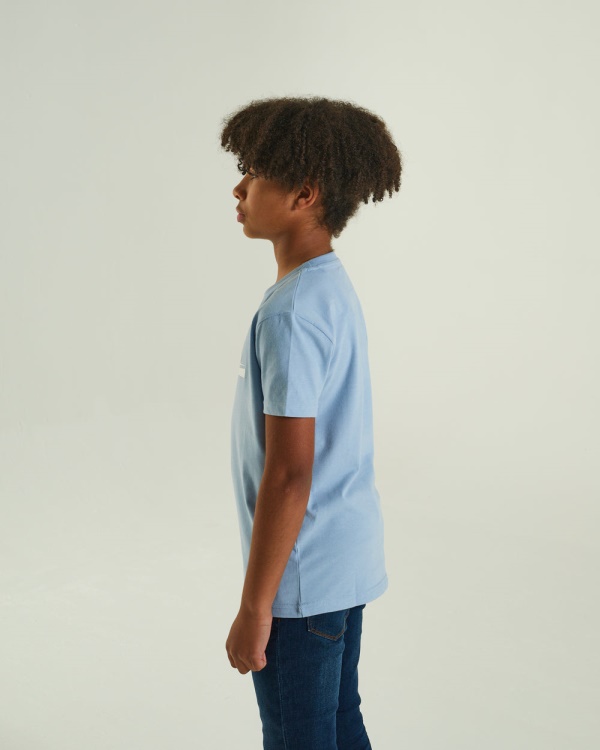 Diesel Shawn Tee Sky Blue Melange Pink