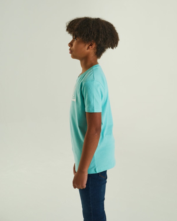 Diesel Shawn Tee Mint White