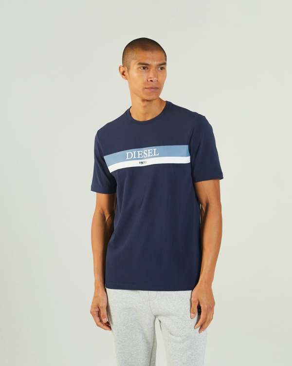 Diesel Hoyt Tee Navy Blazer Red