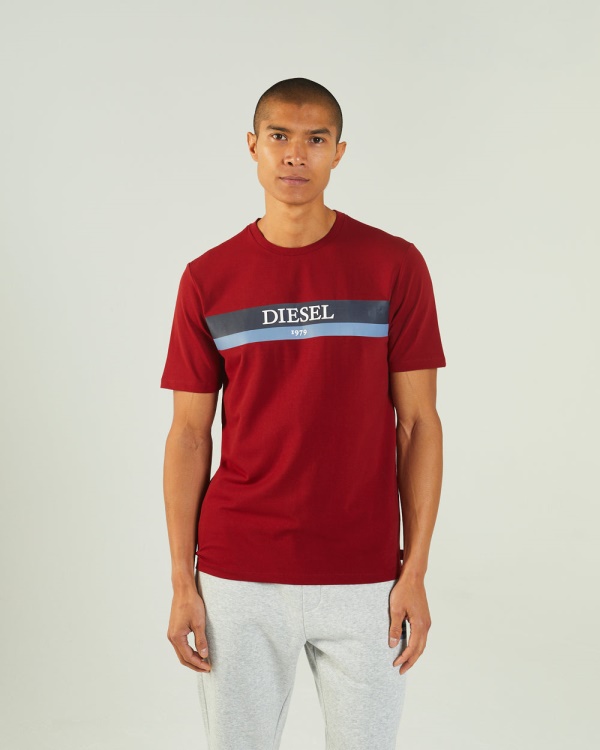 Navy Hoyt Tee Red Dahlia Diesel