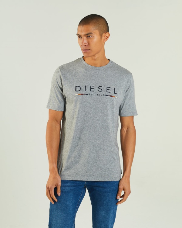 Diesel Fabriccio Tee Grey Marl White