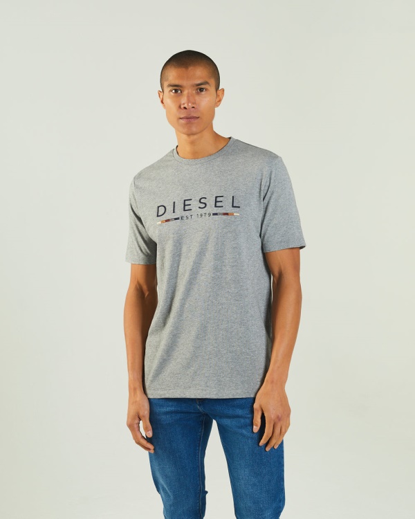 Diesel Fabriccio Tee Grey Marl White