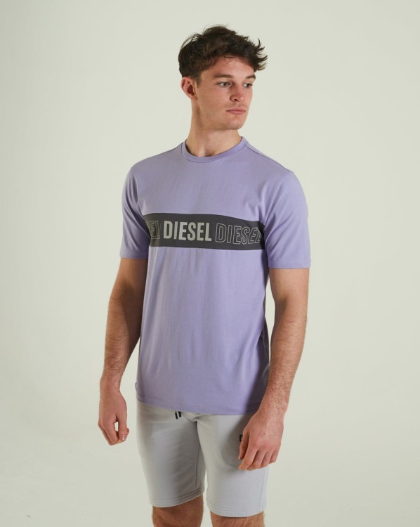 Grey Augustus Tee Sunset Diesel