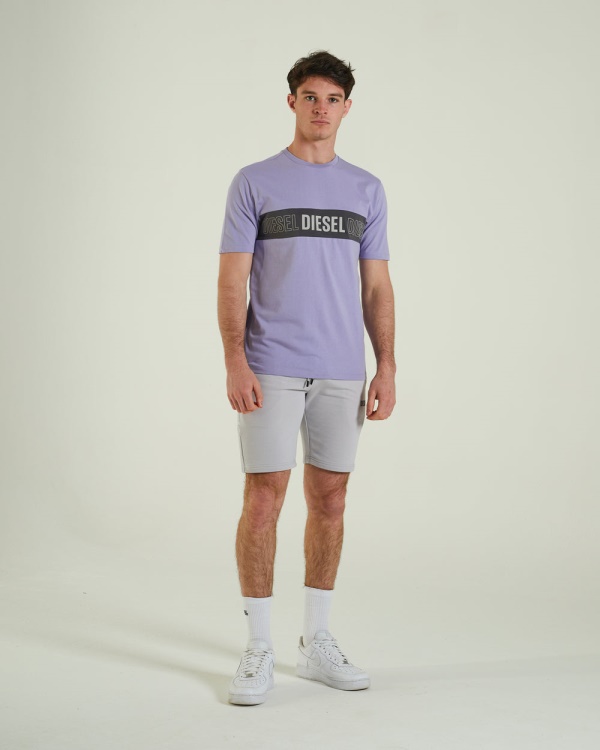 Grey Augustus Tee Sunset Diesel