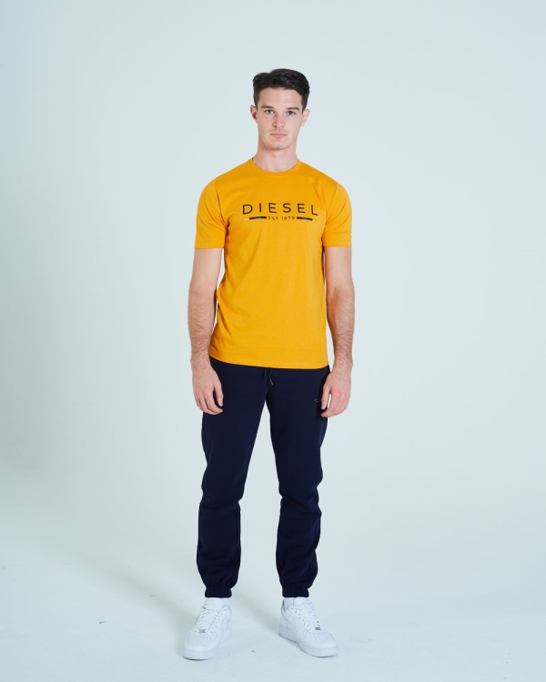 White Leyton Tee Autumn Glaze Diesel