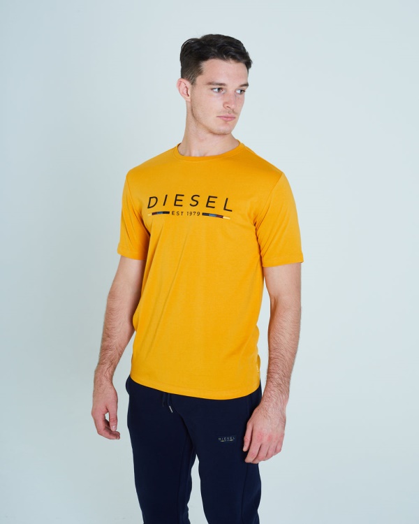 White Leyton Tee Autumn Glaze Diesel