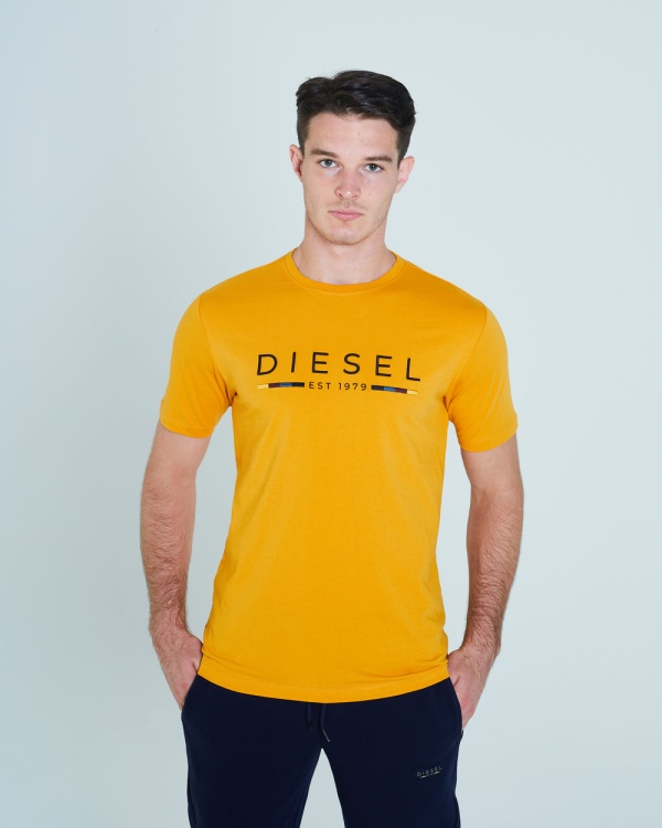 White Leyton Tee Autumn Glaze Diesel