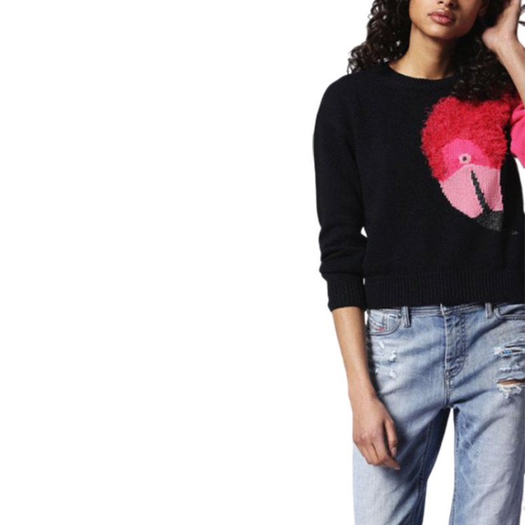 Diesel M Flamy A Flamingo 0Hanu Women's Sweatshirt Crew Neck Pullover Knit Jumper